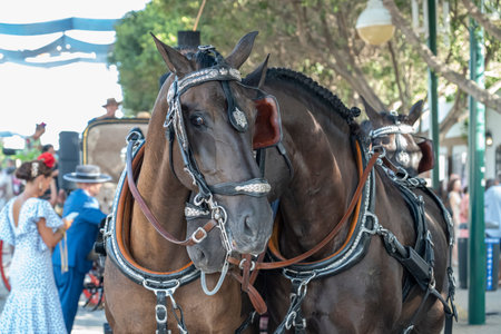 Witness Spain's rich cultural mosaic at the Malaga Fair. Horses, riders, and flamenco create a...