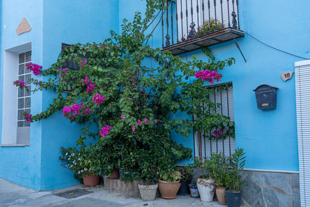 A picturesque view of JÃºzcar, the blue-painted village in Andalusia, Spain, bathed in morning sunlight. Perfect for travel brochures, cultural features, or serene landscape themes.の写真素材