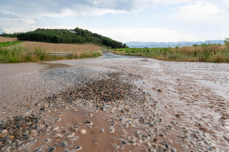 Road in La Rioja, Spain After Rainstorm Flooding