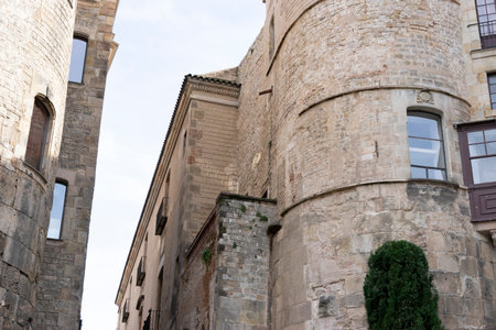 Barcelona Cathedral Architecture and Historical Featuresの写真素材