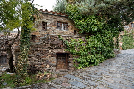 Stone house covered in greenery on a sloped path.. Pueblo de Patones de Arriba in Madrid, famous for its slate architecture and for evading the French invasion., villageの写真素材