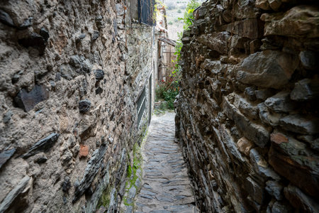 Narrow stone alleyway between rustic buildings.. Pueblo de Patones de Arriba in Madrid, famous for its slate architecture., pathの写真素材