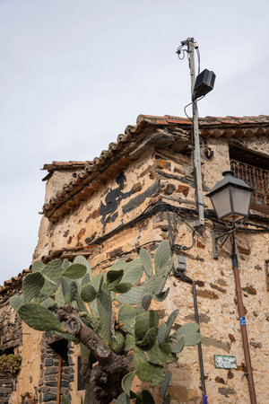 Historic building with cactus and street lamp.. Pueblo de Patones de Arriba in Madrid, famous for its slate architecture and for evading the French invasion., stoneの写真素材