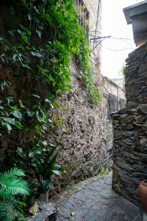 Narrow alleyway with stone walls and greenery.. Pueblo de Patones de Arriba in Madrid, known for its slate architecture and for evading the French invasion., pathの写真素材