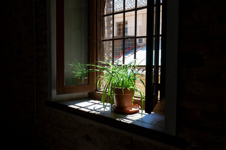 A potted plant on a windowsill in a room.. City of Toledo, Spain, light