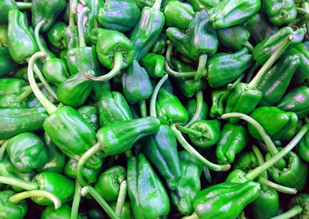 Jalapeno peppers fresh from the market