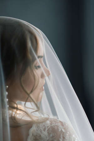 Beautiful girl sexy brunette in white underwear posing in a room in the interior studioの写真素材