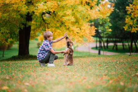 Cute boy playing and walking with his dog in the meadow.の写真素材