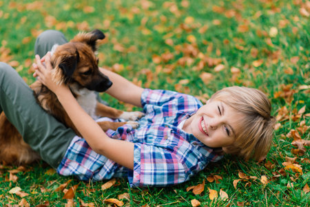 Boy hugging a dog and plyaing with in the fall, city parkの写真素材