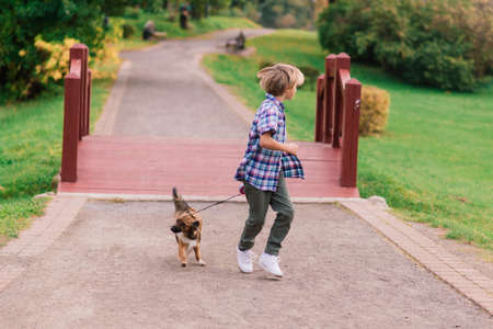 Cute boy playing and walking with his dog in the meadow.の写真素材