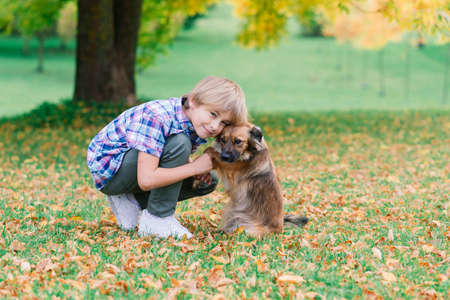 Cute boy playing and walking with his dog in the meadow.の写真素材