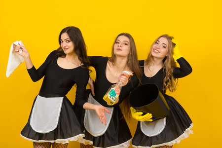 Beautiful sexy women in maid clothes posing in studioの写真素材