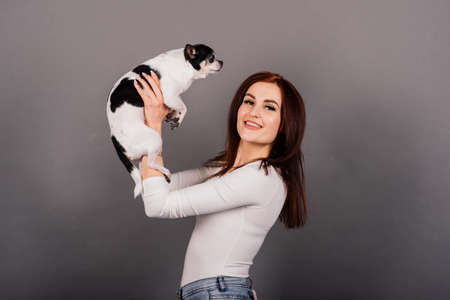 Woman and dog. Man and animal. Brunette holding chihuahua in the studio on grey background.の写真素材
