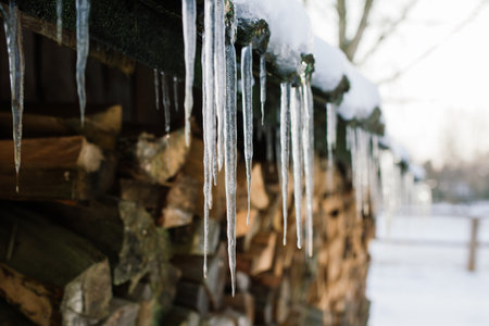 Woodpile of firewood on the outskirts of a farm, yard and winter forestの写真素材