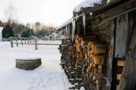 Woodpile of firewood on the outskirts of a farm, yard and winter forestの写真素材