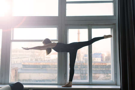 Young attractive smiling woman practicing yoga, working out, wearing sportswear, bra, home trainingの写真素材