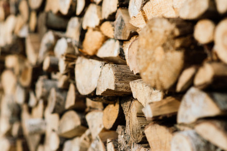 Stacked firewood close-up, chopping wood. Logging in a village, rustic lifestyle.