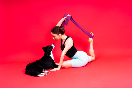 Portrait of female posing with a border collie in studio, yellow and red backgroundの写真素材
