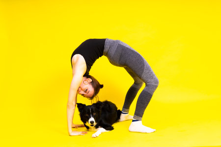 Shot of sport female in leggings with a border collie dog isolated on yellow and red backgroundの写真素材