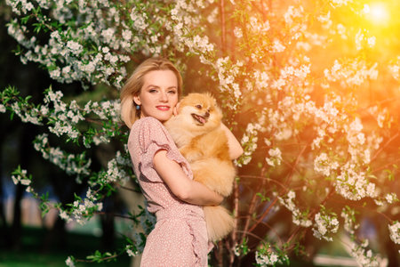 Attractive young woman holding dog spitz outside and smiling at camera, walking in the park.の写真素材