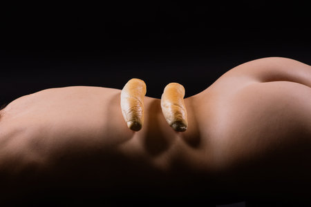 Female sensual body holding one big white bread bun with sesame seeds, horizontal picture