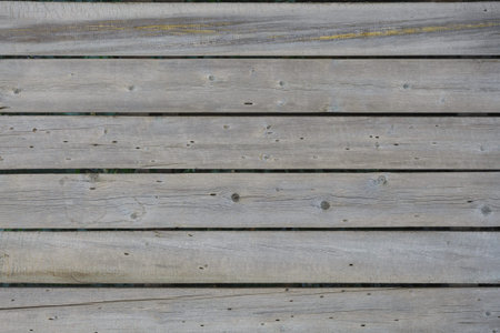 Horizontal vintage gray boards with traces of bark beetles as background