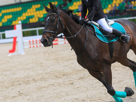 Rider on the horseback jumps on the background of the grandstands of the spectatorsの写真素材