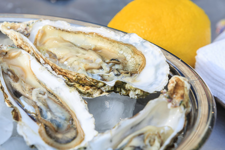 Several open oysters lie in a bowl with ice and lemonの写真素材