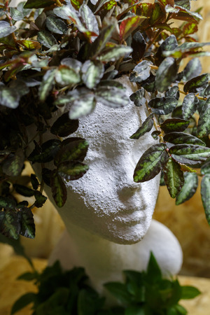 White gypsum head of girl and flowersの写真素材
