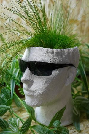 White gypsum head of man and flowersの写真素材