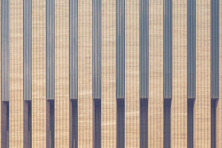 Vertical elements of the facade