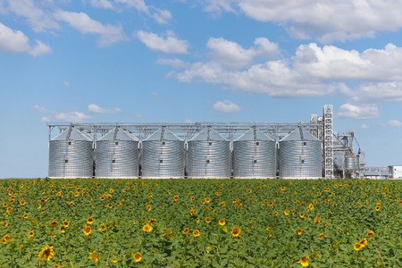 Large modern wheat elevator, granaryのeditorial素材