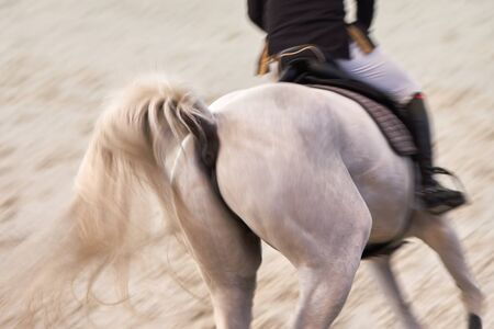 Horseman on a white horse rides through the stadium, motion blur, focus on horse-tail.の写真素材