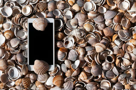 Smart phone lying among natural seashells with copy spaceの写真素材