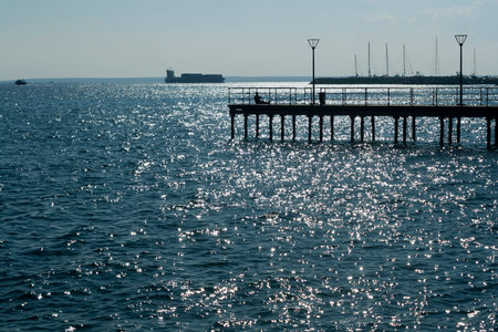 Glittering sea water, a pier, the light blue sky and ships on the horizon