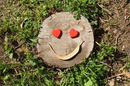 Funny face with heart shaped eyes on tree stump among green grass in sunlightの写真素材
