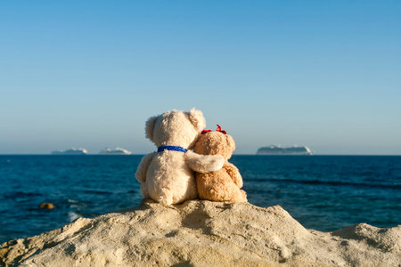 Two teddy bears in love sitting on big rock in front of blue sea and sky with ships on the horizon