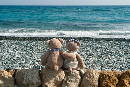 Teddy bear couple sitting on big stones at the beach in front of wavy seaの写真素材