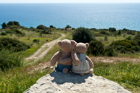 Two hugging teddy bears sitting on big rock on top of the hill and looking at panoramic land and sea viewの写真素材