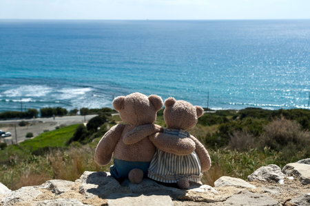 Two hugging teddy bear couple sitting on top of mountain and looking at panoramic land and sea viewの写真素材