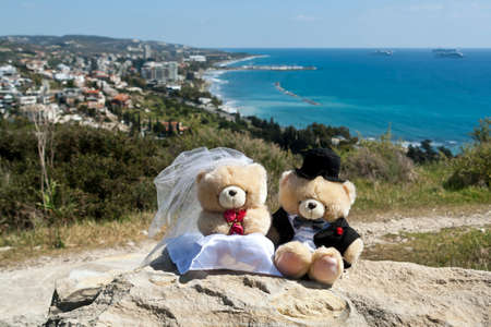 Bride and groom teddy bears sitting on big rock on top of mountain with panoramic sea and city viewの写真素材