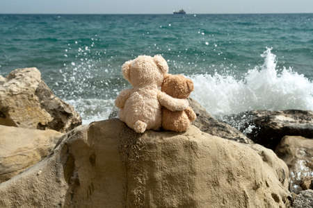 Two teddy bears sitting on big rock in front of stormy sea and looking at splashing waveの写真素材