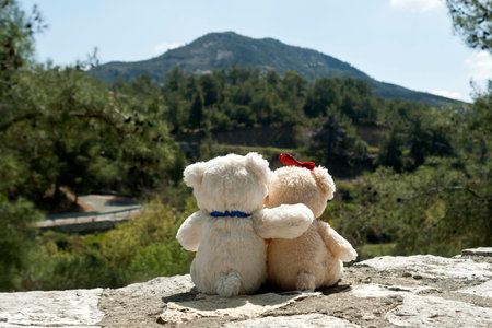 Two small teddy bears sitting in mountain forestの写真素材