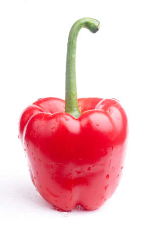 red paprika on white backgroundの写真素材