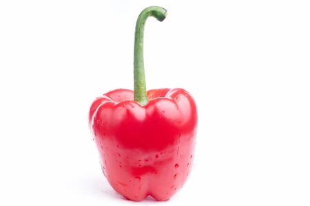 red paprika on white backgroundの写真素材