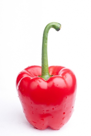 red paprika on white backgroundの写真素材
