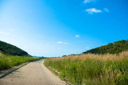 Steet in fieldの写真素材