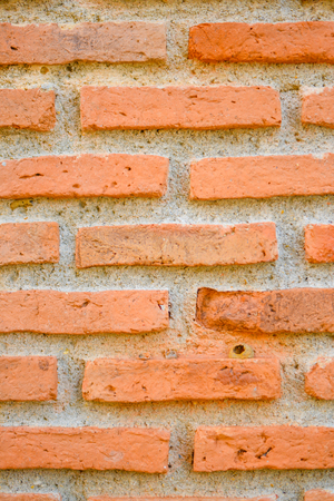 Brick wallの写真素材