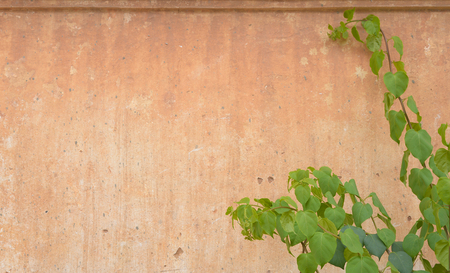 Orange wallの写真素材