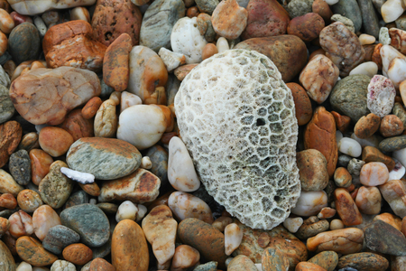 Natural surface of freeze lavaの写真素材